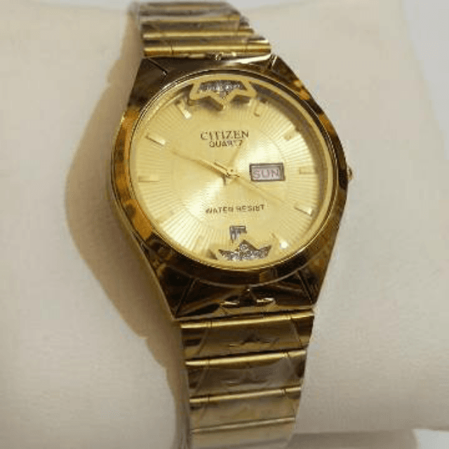 *Graceful and rich artical*
CITIZEN*